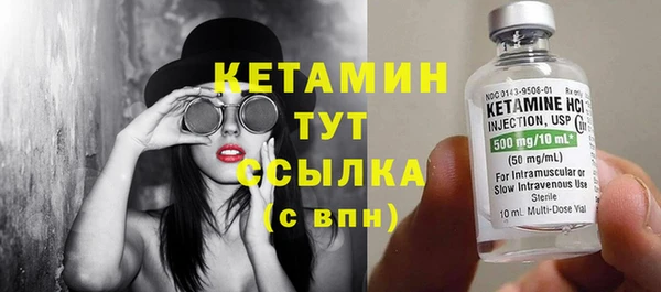 индика Елабуга