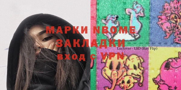 индика Елабуга