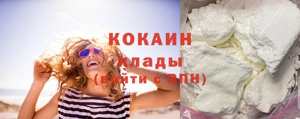 индика Елабуга