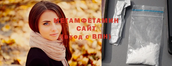 индика Елабуга
