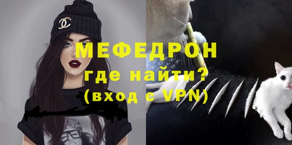 индика Елабуга