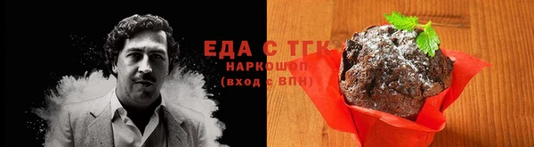 индика Елабуга
