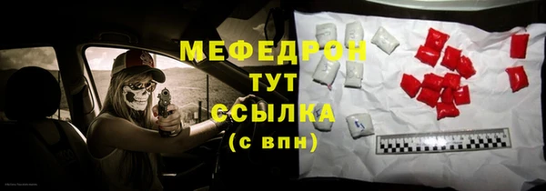 индика Елабуга