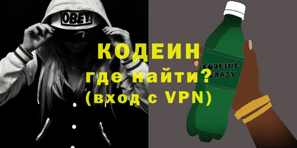 индика Елабуга