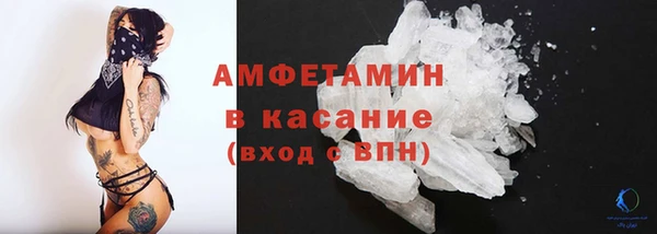индика Елабуга