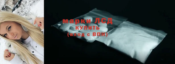 дмт Елизово