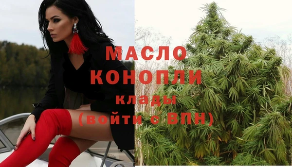 индика Елабуга