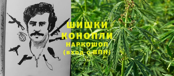 дмт Елизово