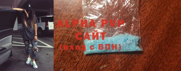 индика Елабуга