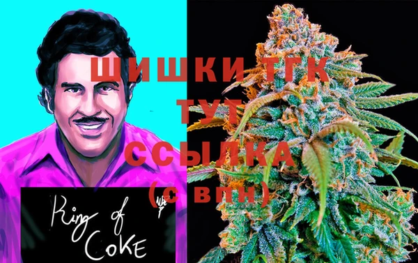 дмт Елизово