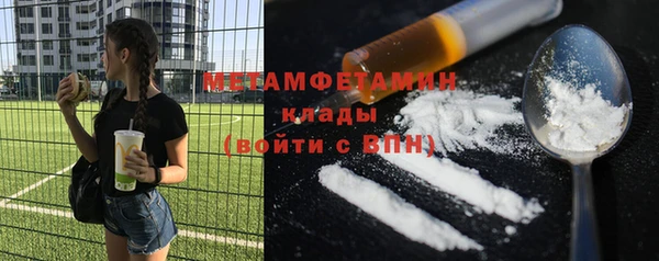 индика Елабуга