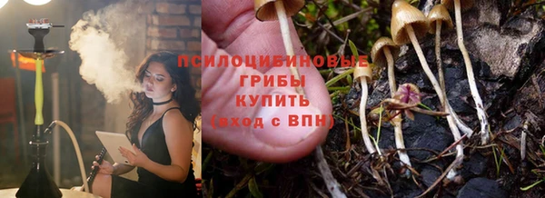 дмт Елизово