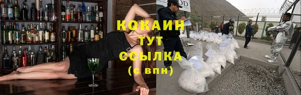 дмт Елизово