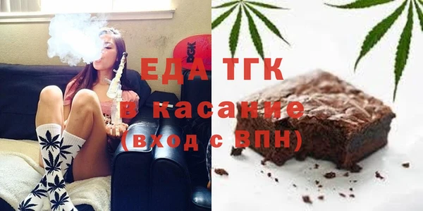 индика Елабуга