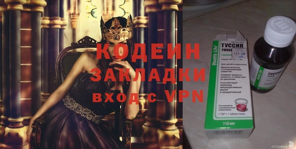 дмт Елизово