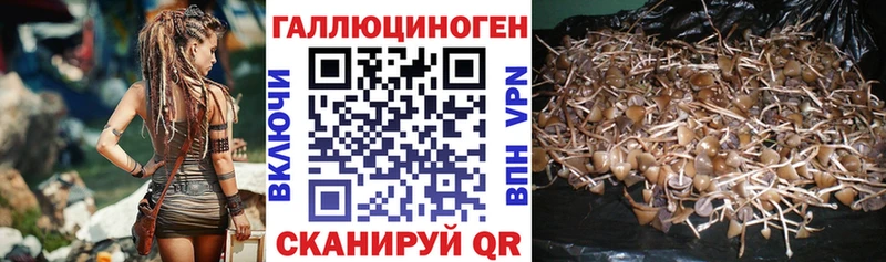 Купить где  Данков  Галлюциногенные грибы ЛСД 